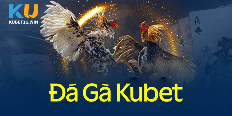 Đá gà Kubet uy tín và an toàn